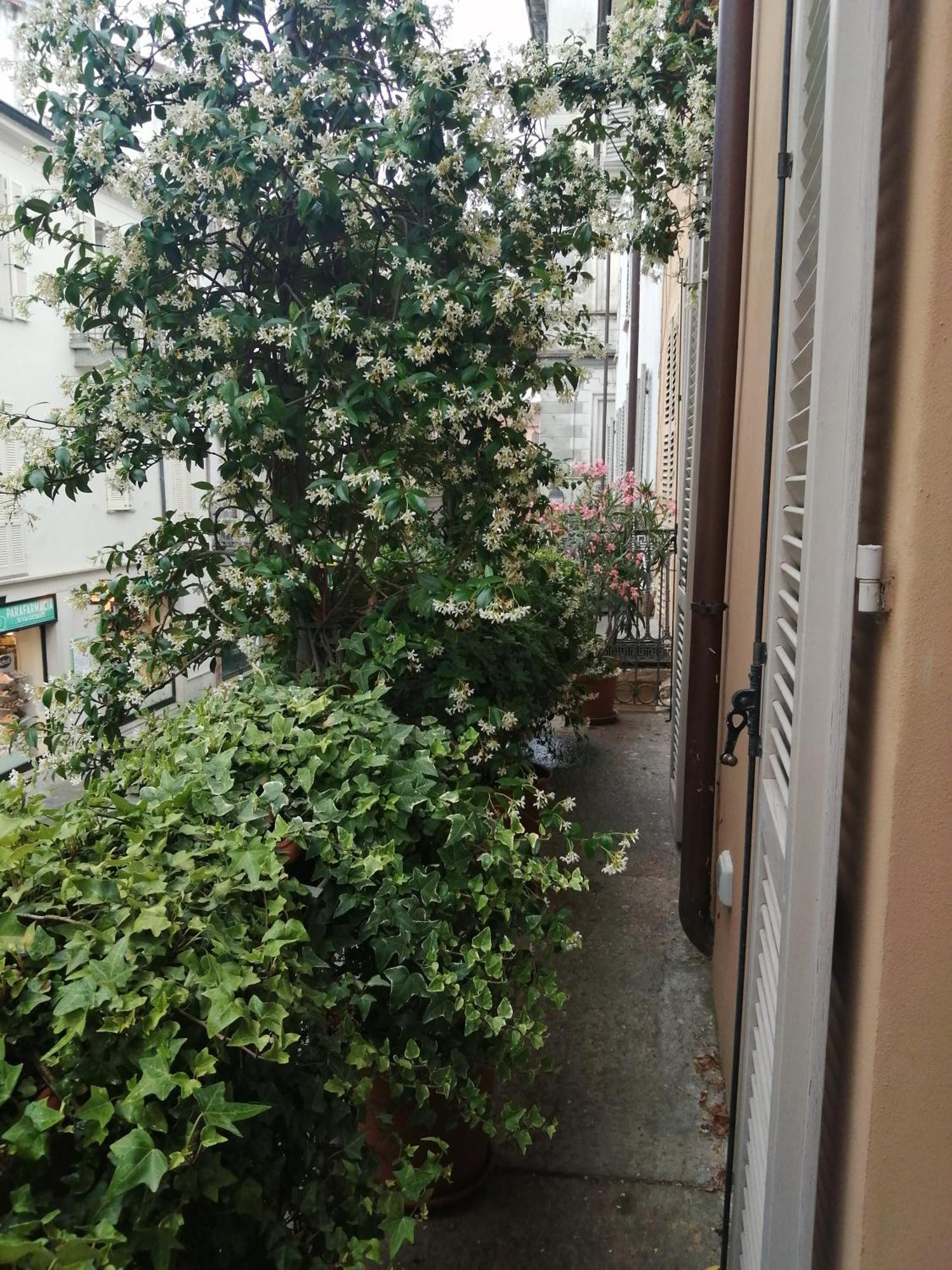 Apartament Le Melusine Vercelli Zewnętrze zdjęcie